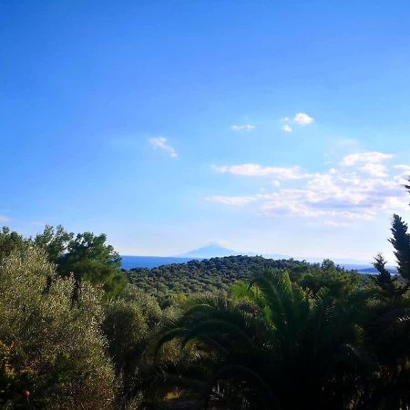 Appartement Thasos Seaside Serenity - Seaview & Garden Nests à Astris Extérieur photo