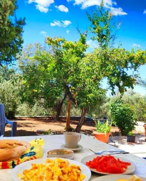 Appartement Thasos Seaside Serenity - Seaview & Garden Nests à Astris Extérieur photo