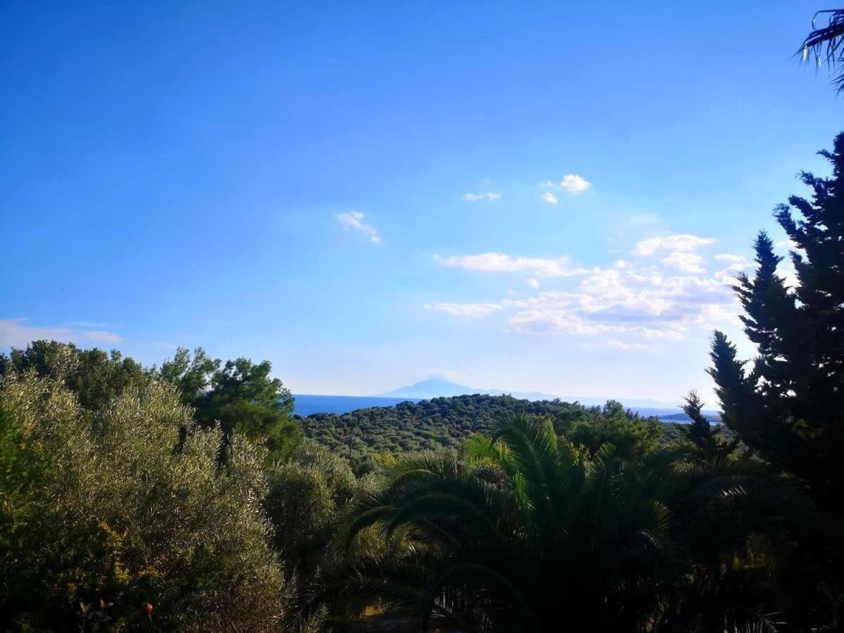 Appartement Thasos Seaside Serenity - Seaview & Garden Nests à Astris Extérieur photo
