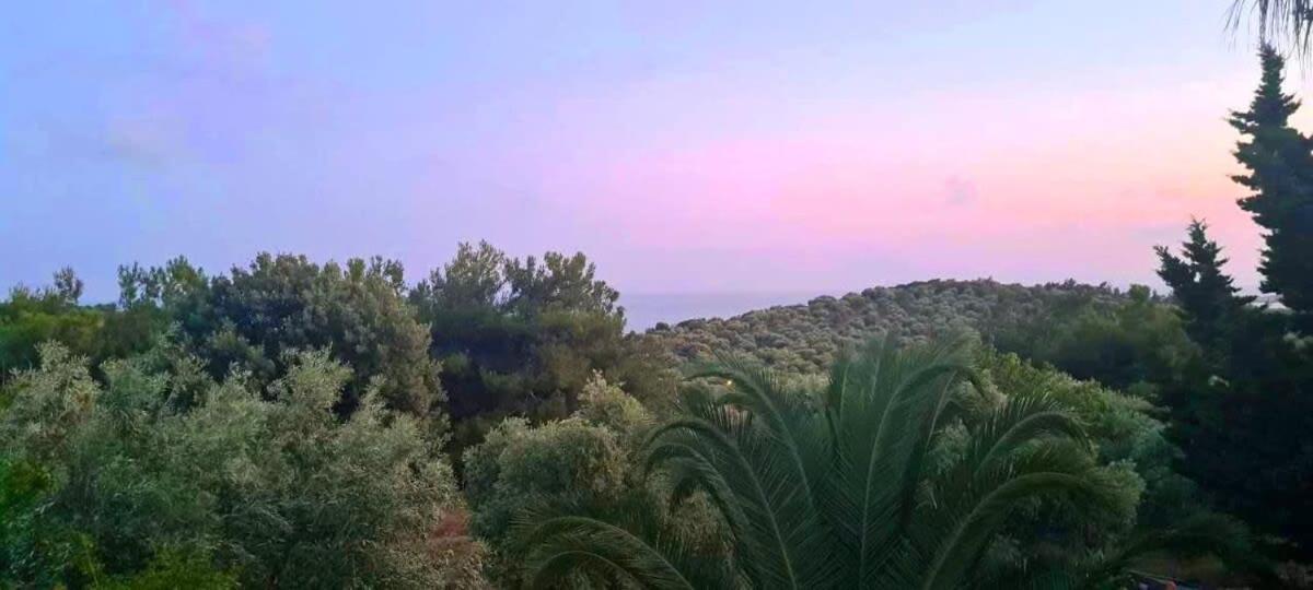 Appartement Thasos Seaside Serenity - Seaview & Garden Nests à Astris Extérieur photo
