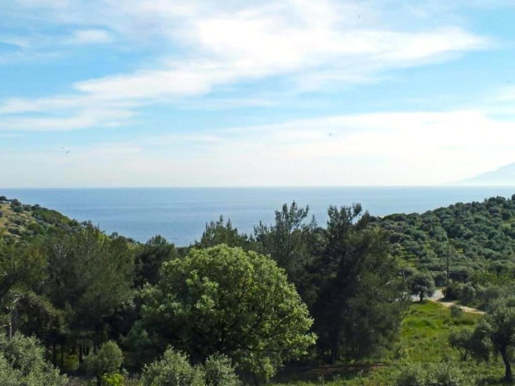 Appartement Thasos Seaside Serenity - Seaview & Garden Nests à Astris Extérieur photo